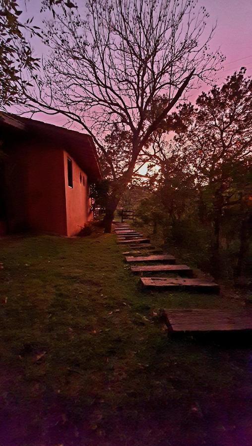 皮尼亚尔齐纽Sitio Belucci住宿加早餐旅馆 外观 照片